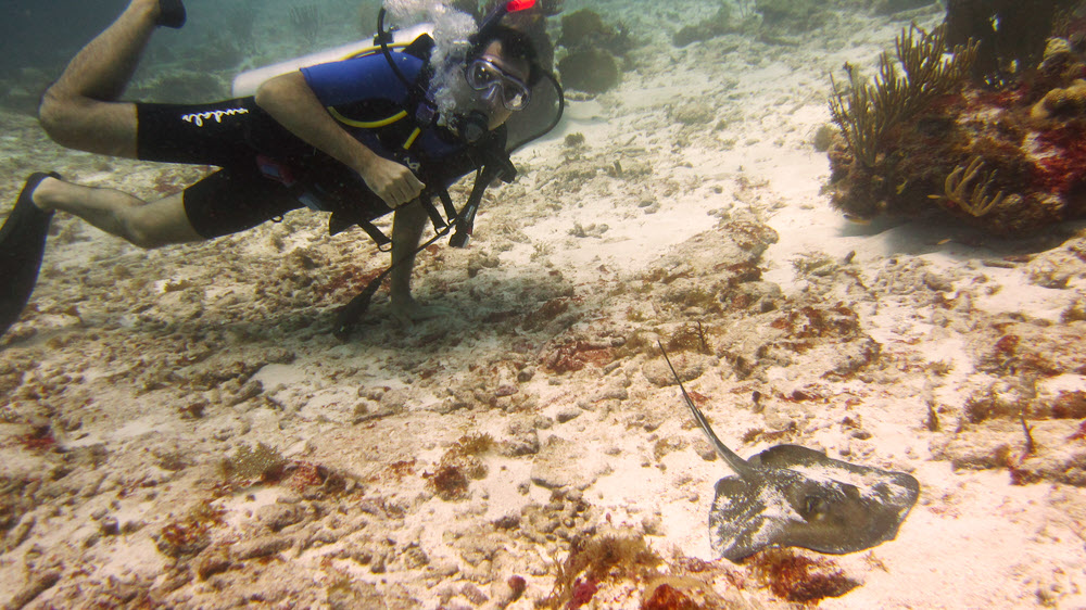 Dive buddy Salvatore posing next to a small stingray at Bush Valley, Cades Reef.