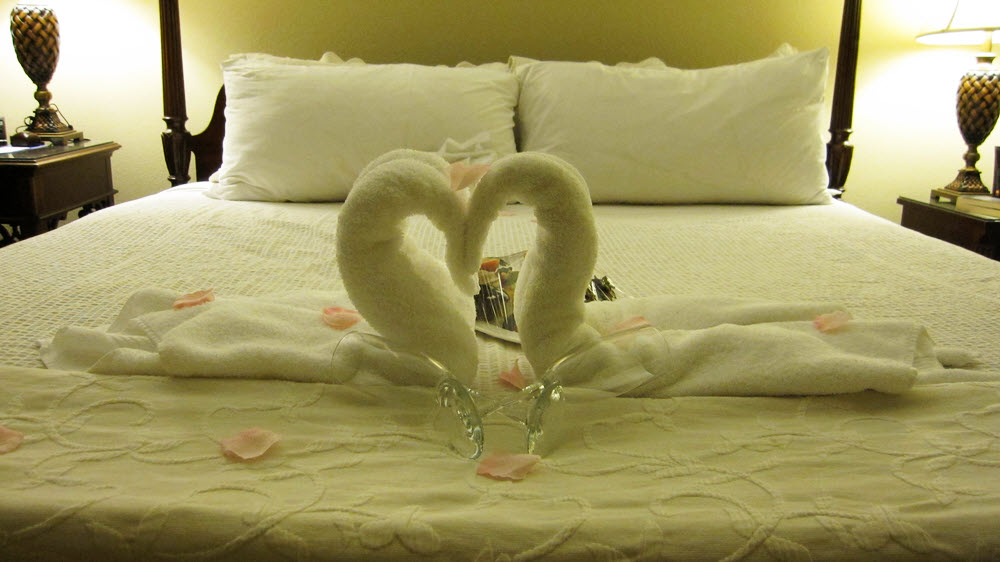 One evening our bed was decorated with swans and flower petals.