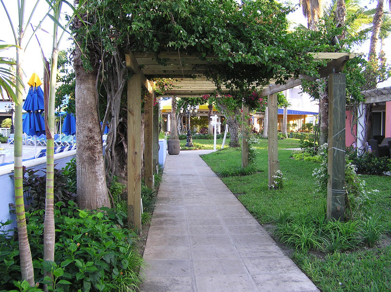 Path next to the Iguana pool.  (254k)