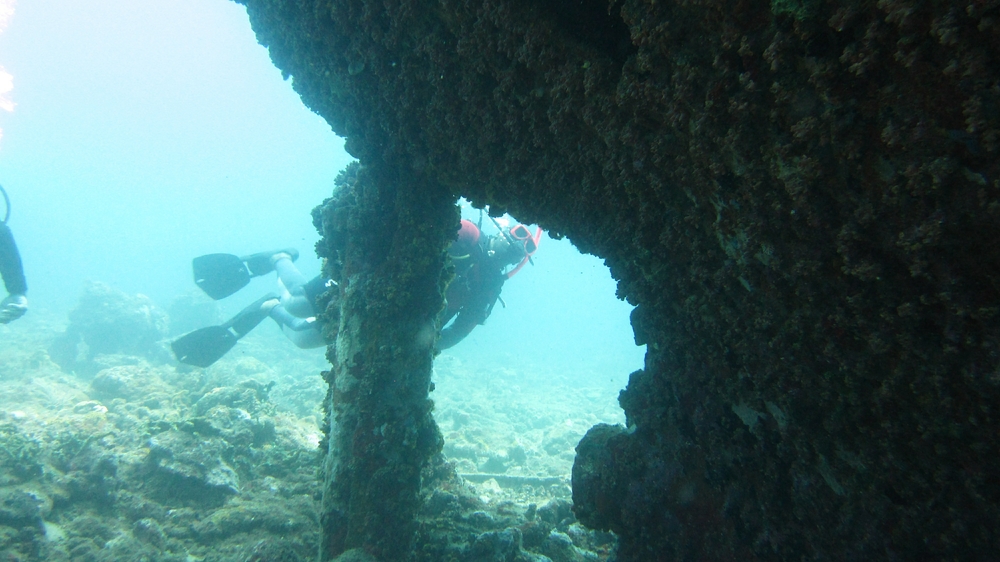 At the stern of the Veronica L wreck - the rudder post and the propellor shaft are clearly seen. 