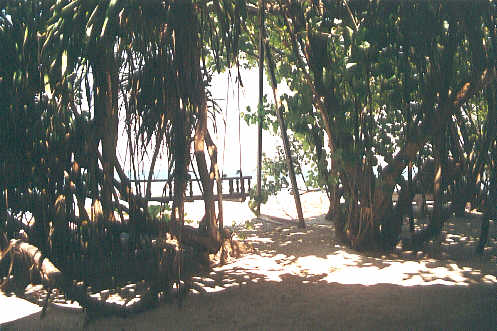 Looking in the opposite direction, from our room out past the swing onto the sea. (34k)