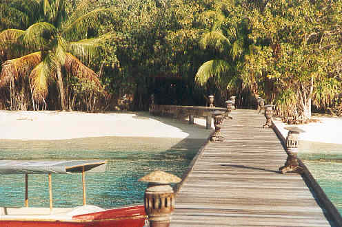 Walking up the jetty to reception (amongst the trees). (32k)