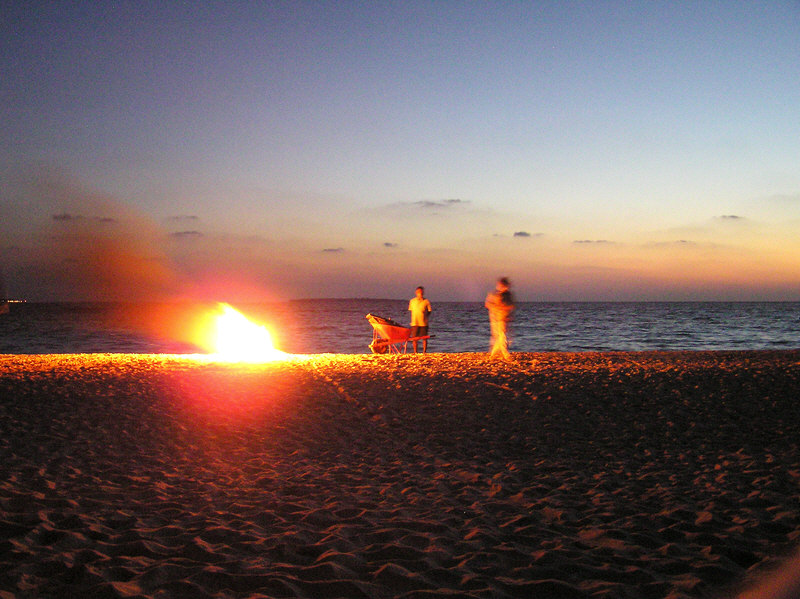 Bonfire on the beach. (141k)
