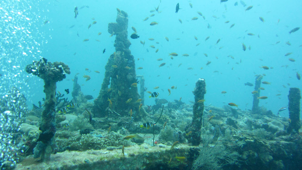The wreck's superstructure is now covered with a thick layer of corals.  (140k)