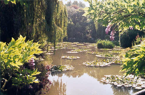 View from the bridge back over the lily pond (42k)