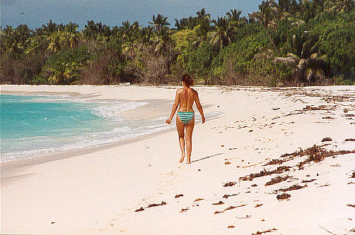 On the beach at Bird (37k)