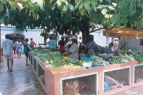 Vegetable stalls in the market in Victoria (35k)