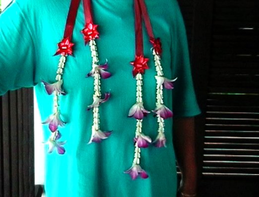 These pretty Orchid Garlands were presented to us as we alighted from the boat.
