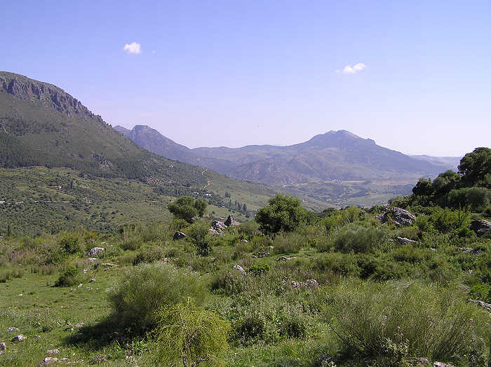 Walking down the Gaidovar valley north from Grazalema.  (63k)