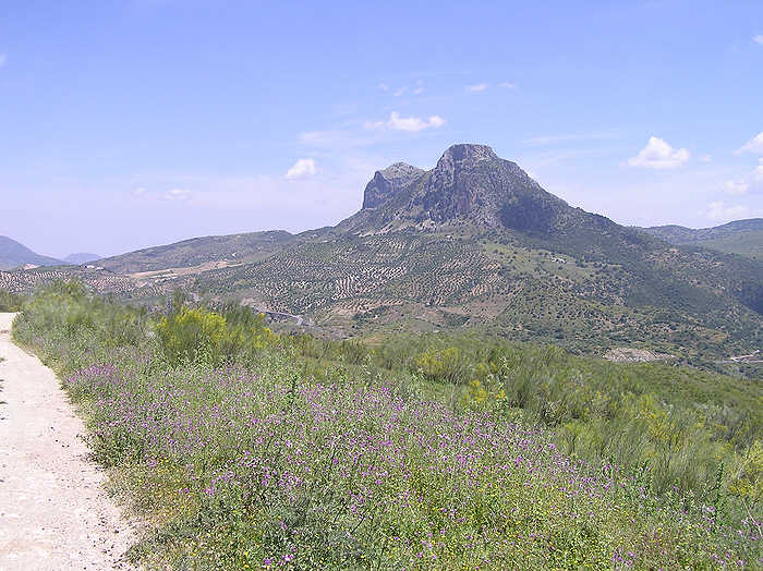 The mountain of Lagarin, 1067m, on the far side of the Zahara reservoir. (78k)