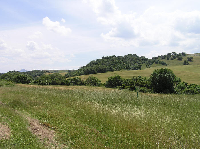 We'd expected an arid brown landscape.  Far from it - it looked like Surrey in places...  (91k)