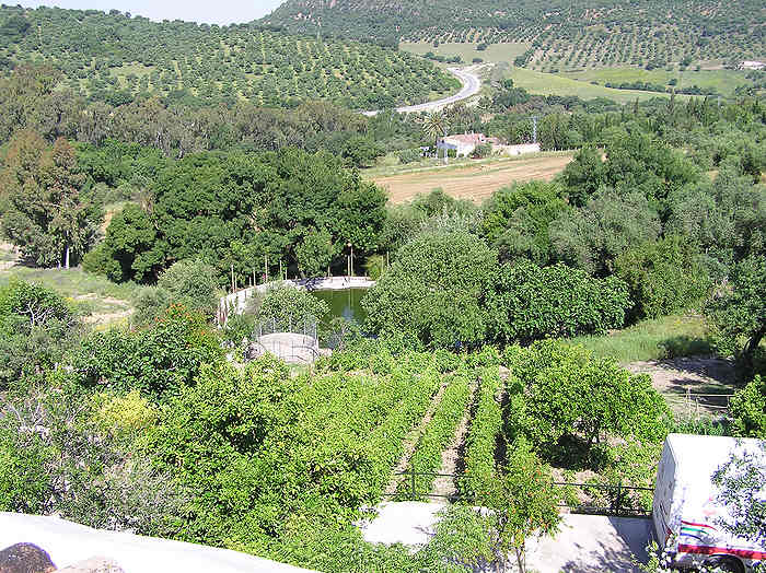 View from our balcony at La Huerta Dorotea.  The large water tank below the garden rang with the sounds of frogs all night.  (101k)