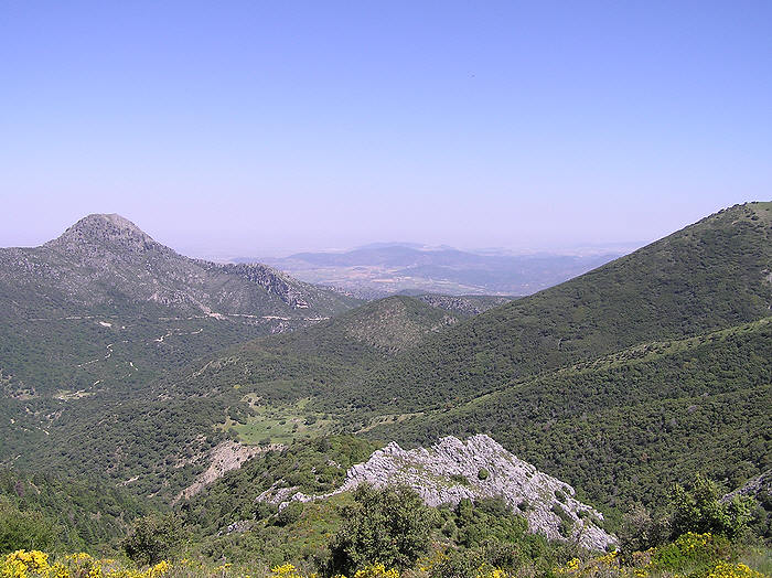 Day 4: Some real altitude at last - up to about 1350m under the Sierra de las Cumbres near Grazalema.  (95k)