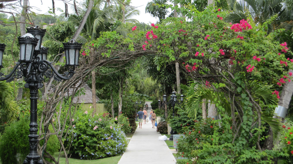 Pathway back from the beach.