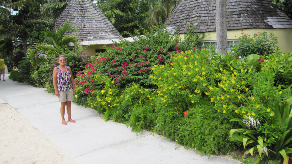 Beautiful shrubs line the path.