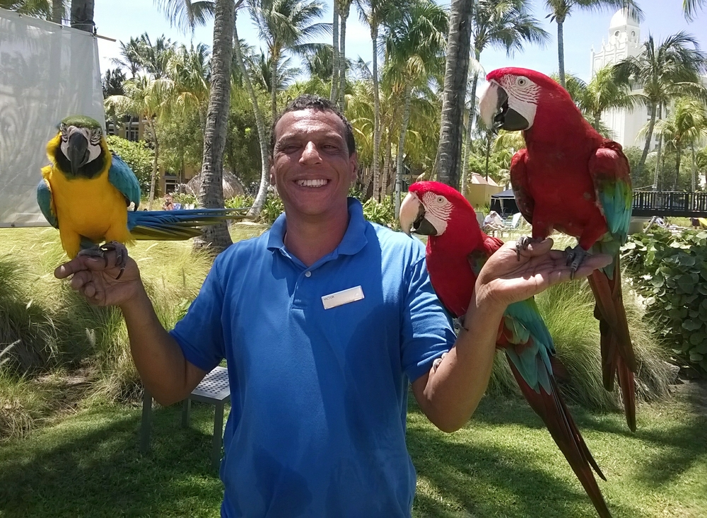 There were lots of macaws, parrots and cockatoos in cages near the main pool.