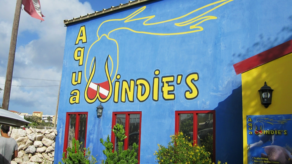 The Aqua Windies dive outfit, near Eagle Beach and not far from the Bucuti hotel, seemed pretty professional.