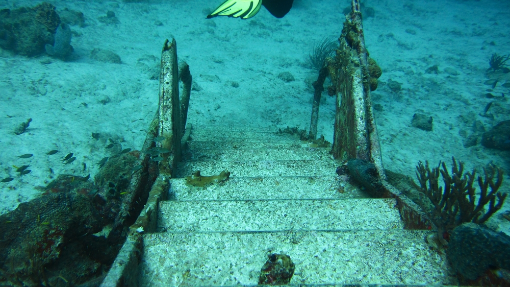 Descending the aircraft steps.