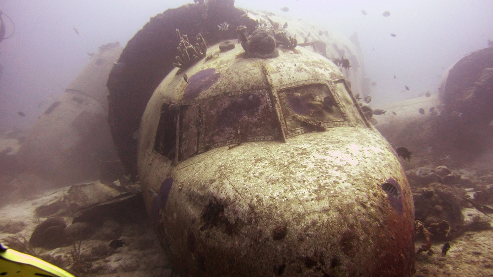 The DC-3 is showing its age after a few years on the bottom. The whole cockpit/nose section has broken away from the fuselage.