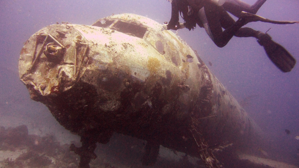 The passenger jetliner stands on its wheels on the sand, with the fuselage intact. 