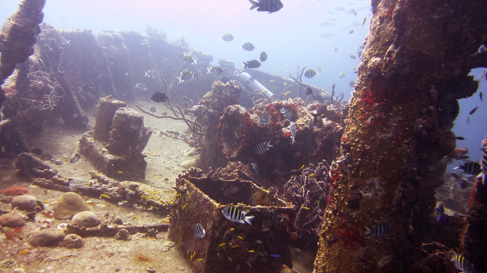 Looking towards the bow section of the Jane C.