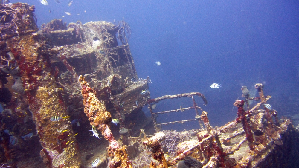 The wreck is well-encrusted with corals and sponges.