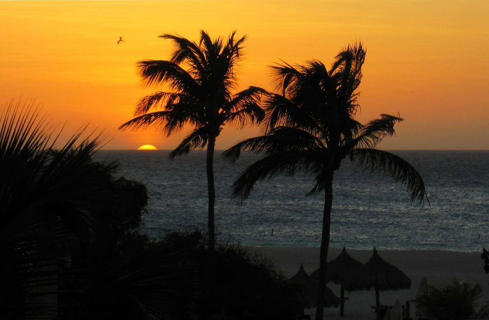 A sundowner on the balcony was definitely in order, as a frigate bird flies over the beach. 