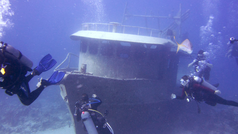The group explore a wreck near the DC3.