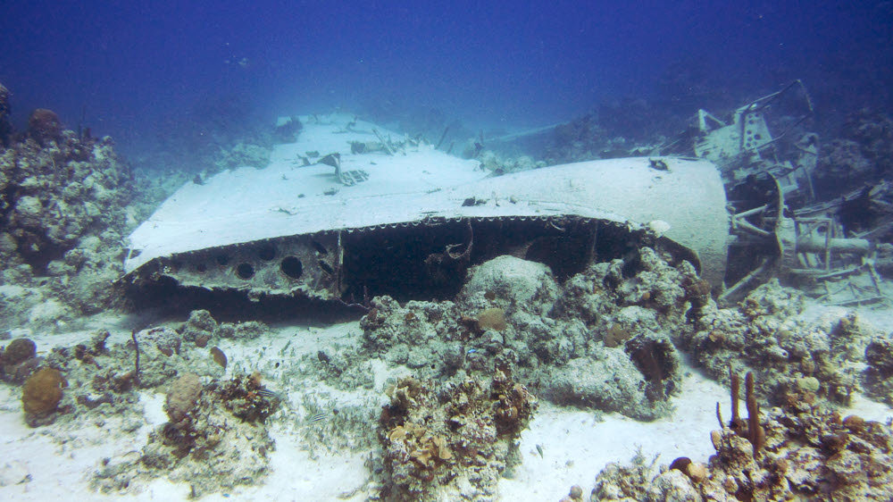 The remains of the Douglas Dakota (DC3) as used in the film 'Jaws - the Revenge'.