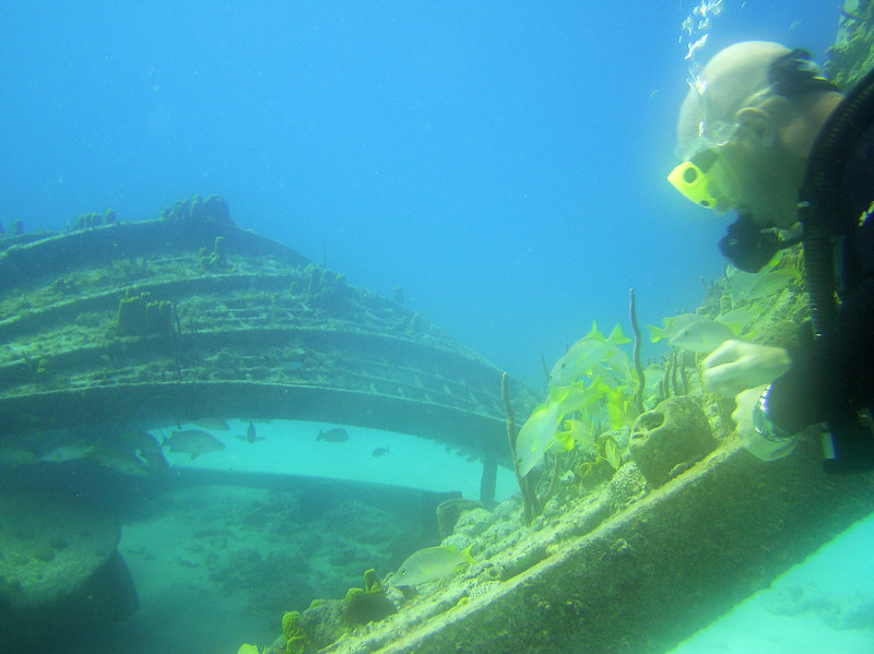 My buddy Frank sees how the sponges and corals have grown on Thunderdome since the early nineties. (114k)