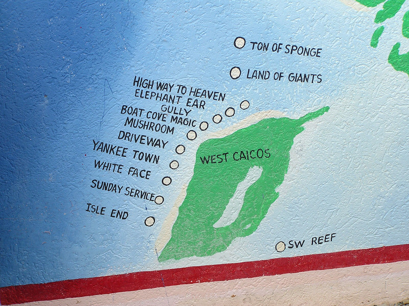 West Caicos dive sites, a twenty-minute bus transfer, plus an hour's boat ride away.�A long day. (200k)
