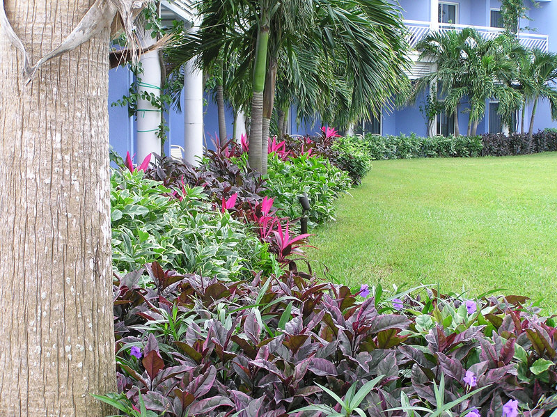 Hedge in front of the East Wing of the main building. (291k)