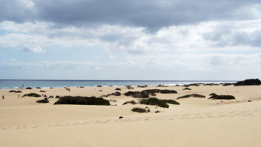 View across the dunes south of the hotel. (135k)