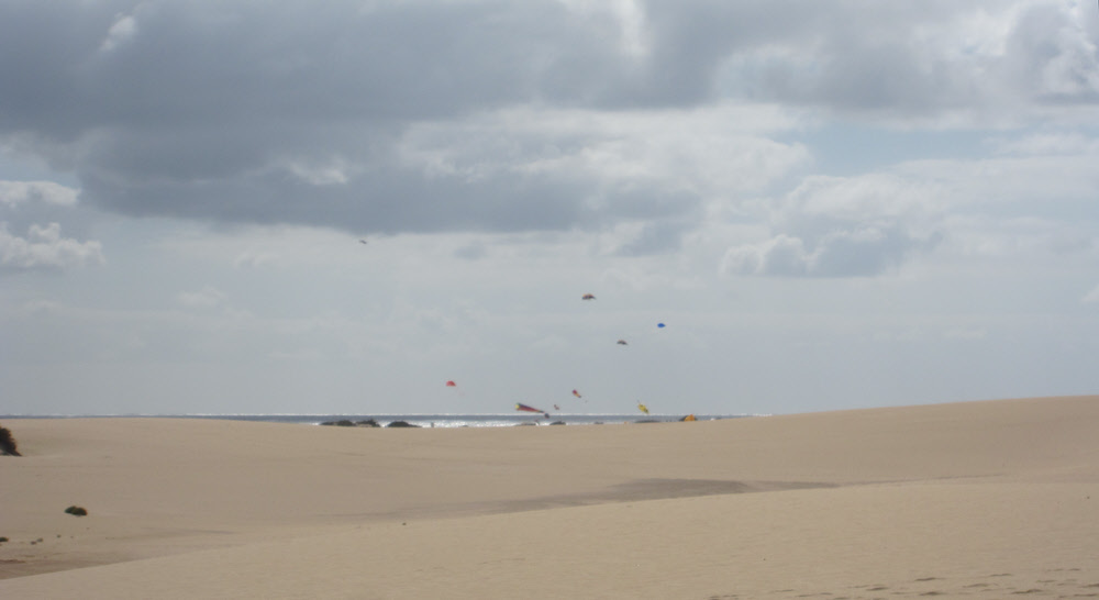 Huge kites stayed stationary in the breeze along the beach. (56k)