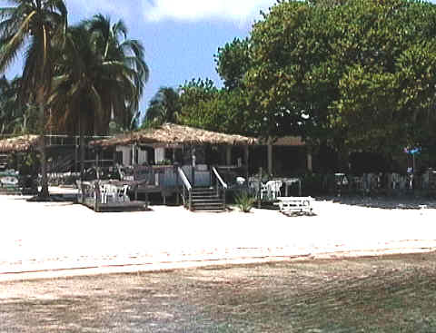 The beach bar