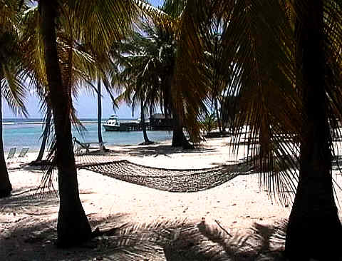 The beach in front of our room