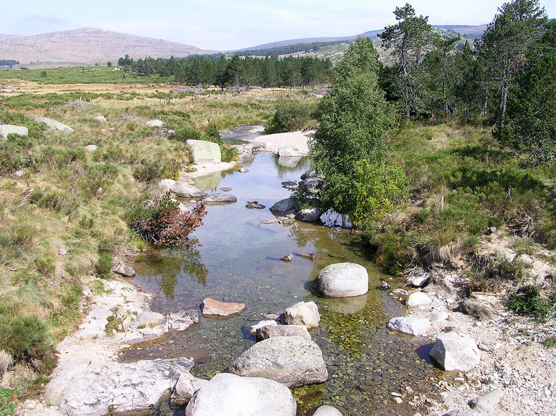 View north from the Pont du Tarn. This small stream is the mighty river Tarn just a few hundred meters from its source.  (248k)