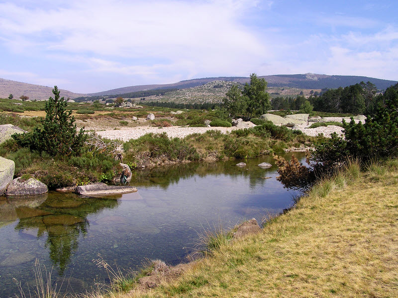 A few hundred meters downstream from the Pont du Tarn in magnificent wild country. (175k)