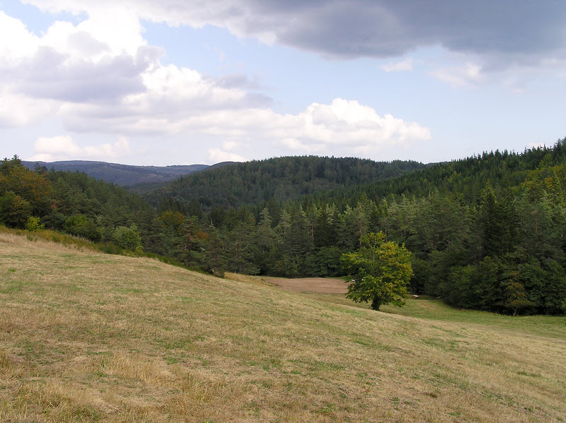 Secluded valley beside the path near Les Vernets.  (129k)