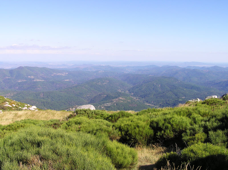 At the start of the steep, rubble-strewn, 700m descent down to le Mas Nouveau.  (150k)