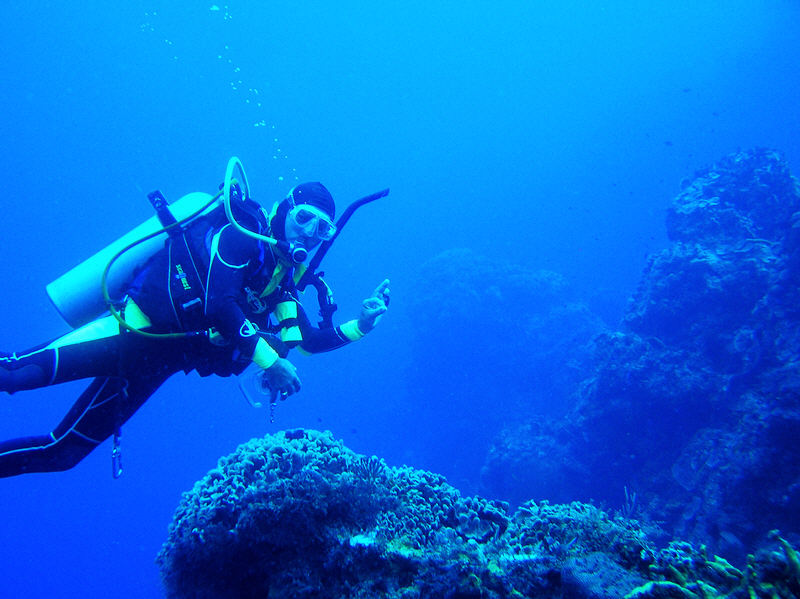 Gustavo leading my nitrox course dive at Palancar Caves.  (93k)