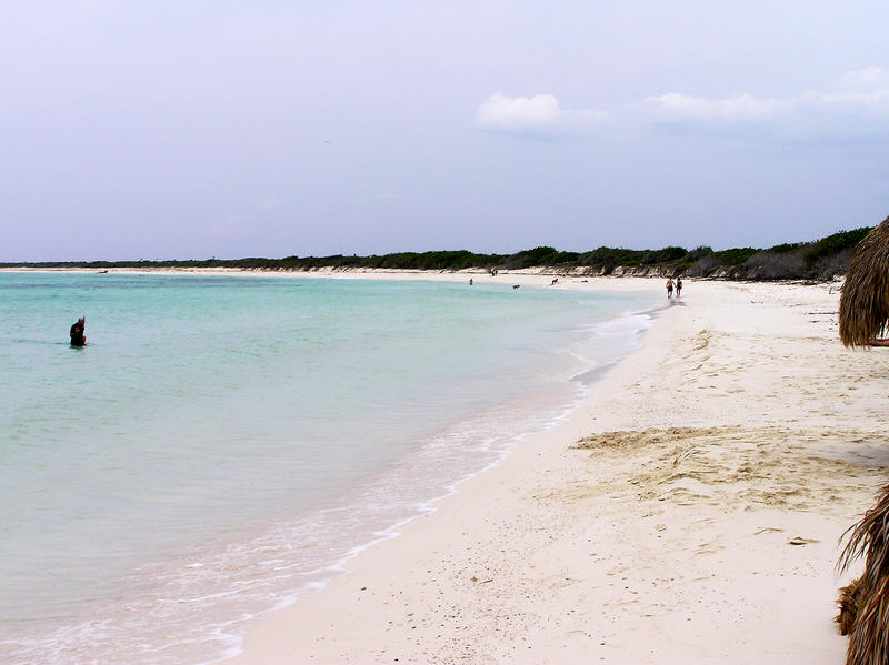 Empty sandy beach in front of this bar. (61k)