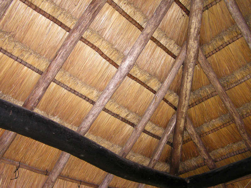 Our room's thin thatch roof.�You could see daylight shining through small gaps in the thatch. There's no waterproof lining. Fortunately it didn't leak
        when we had a downpour one day, but I wonder how well it stood up to Hurricane Wilma in October 2005.  (85k)