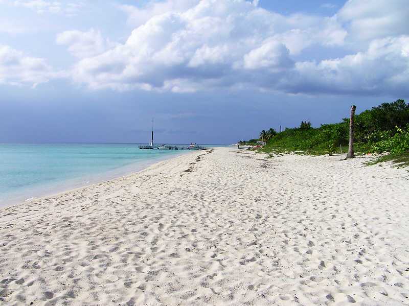 Looking in the opposite direction along the beach in front of the empty next-door plot. (63k)