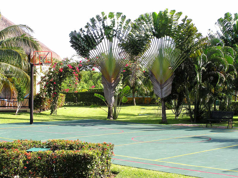 Basketball court further down the gardens.  (120k)