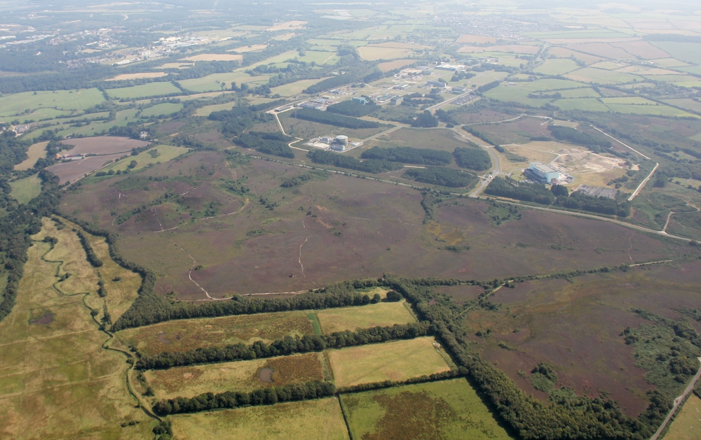 View of Winfrith AEA site / the RAF Warmwell dummy airfield site from the west. The purple heather-covered heathland in the 
					foreground was part of the dummy airfield site.