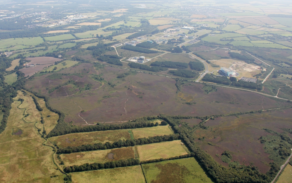 View of Winfrith AEA site / the RAF Warmwell dummy airfield site from the west. The purple heather-covered heathland in the 
					foreground was part of the dummy airfield site.