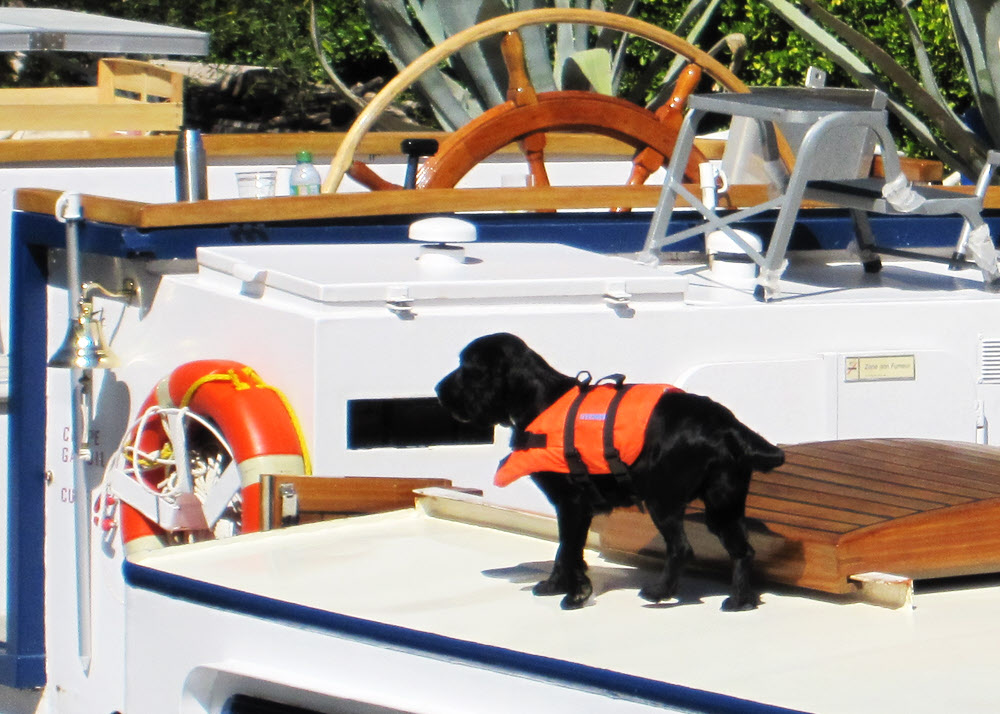 The ship's dog on a big barge on the Canal du Midi.