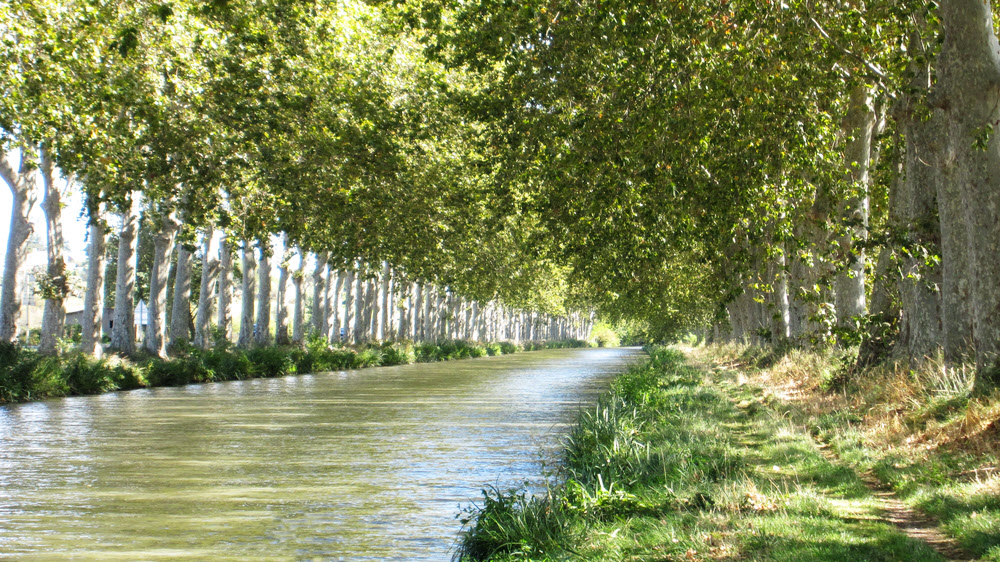 The Canal du Midi near Béziers.