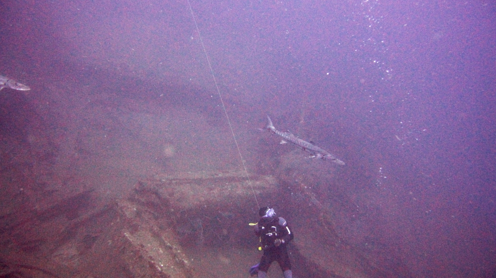 Anyway, onto some wrecks. Dive leader Gary looks warily at a huge Great barracuda (Sphyraena barracuda) at 35m on the Bianca C wreck.